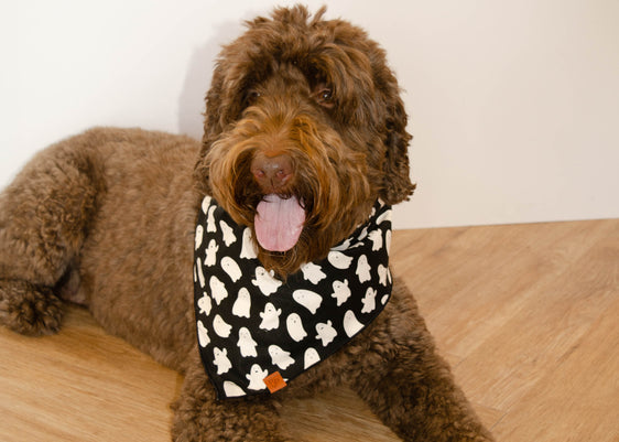 The Griffin Bandana