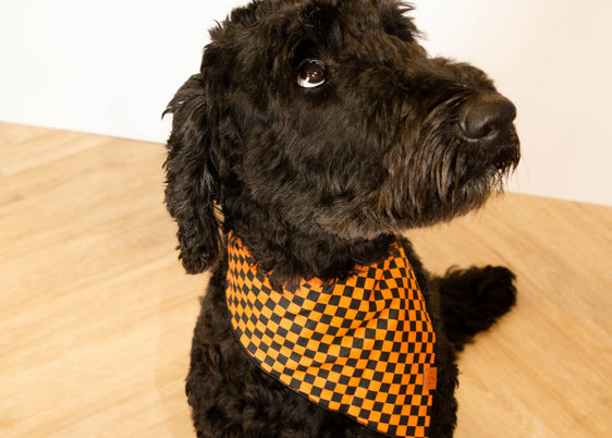The Viktor Bandana