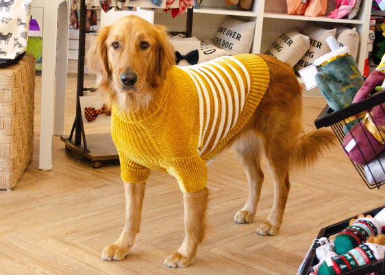 Chenille Dog Sweater - Mustard