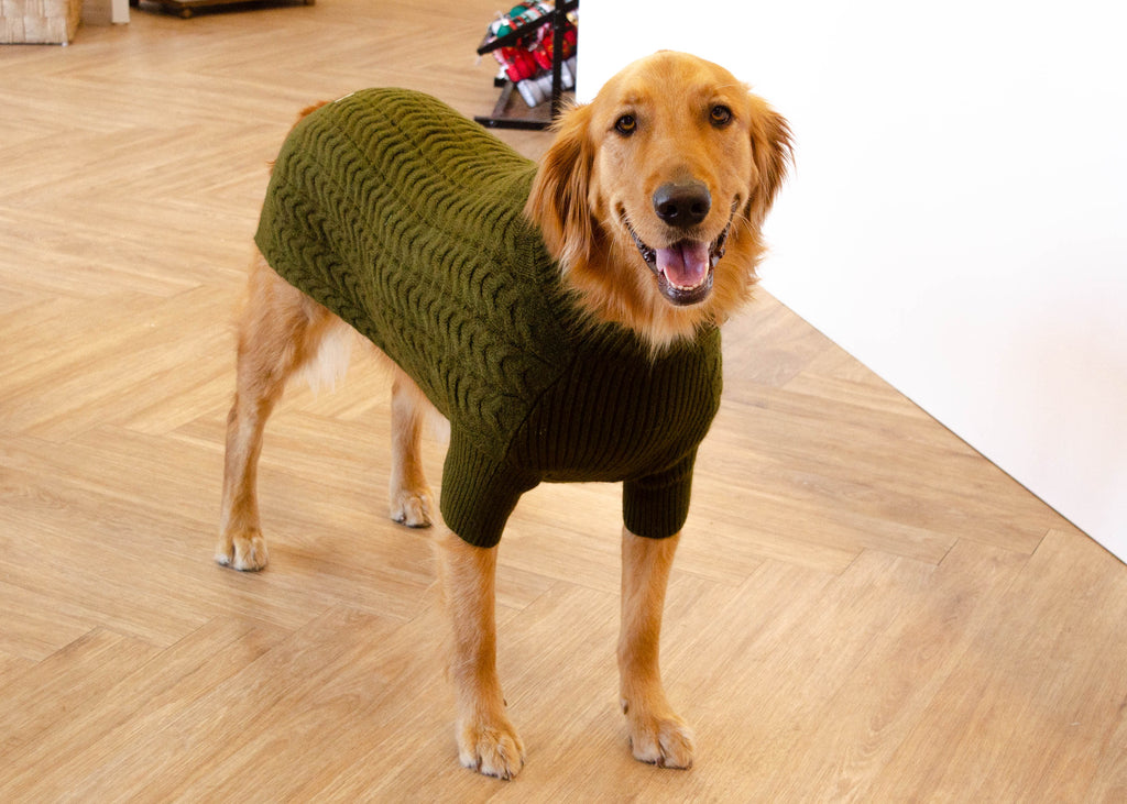 Knit Dog Sweater - Olive