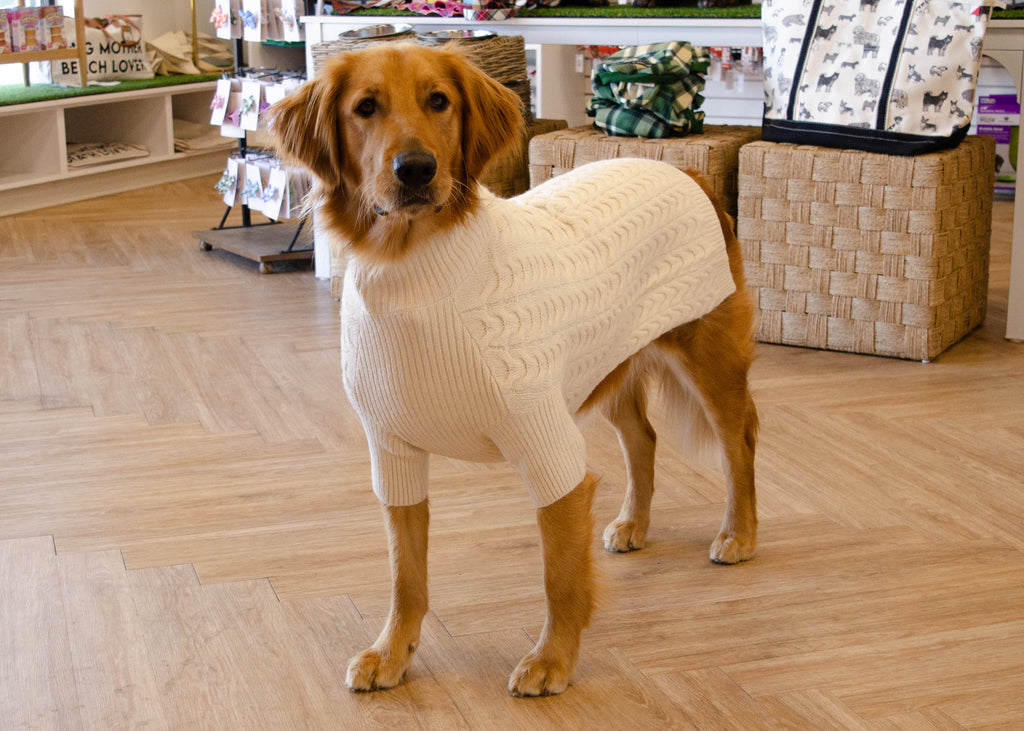 Knit Dog Sweater - Ivory