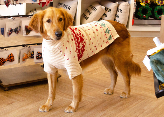 Christmas Snowflake Dog Sweater - Light Beige