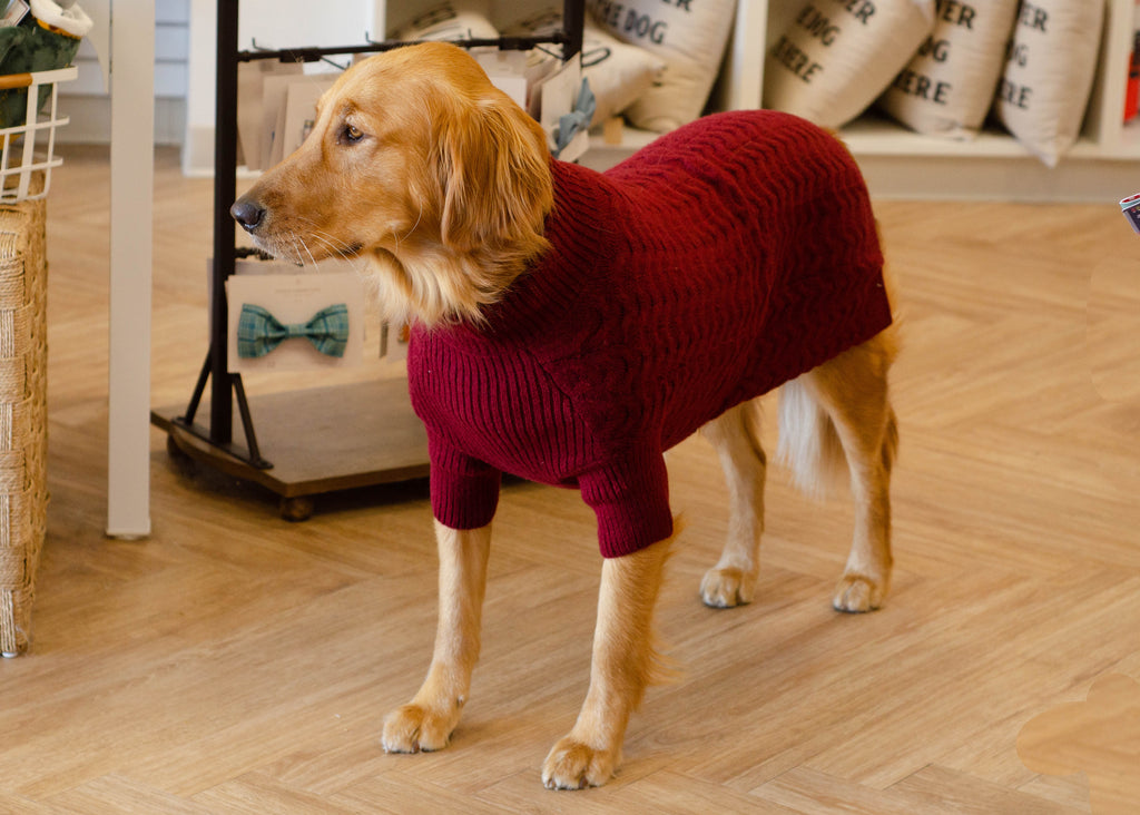 Knit Dog Sweater - Burgundy