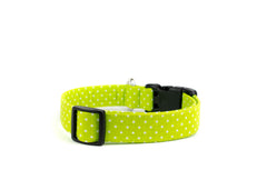 The Lime Polka Dot Collar