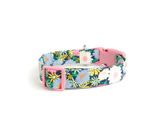 The Daisy Collar