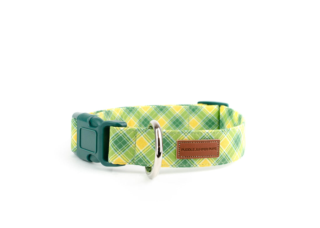 The Arnold Collar