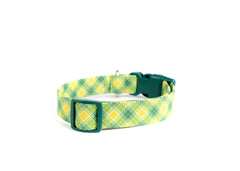 The Arnold Collar