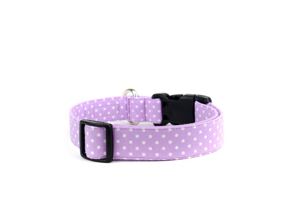 The Lavender Polka Dot Collar