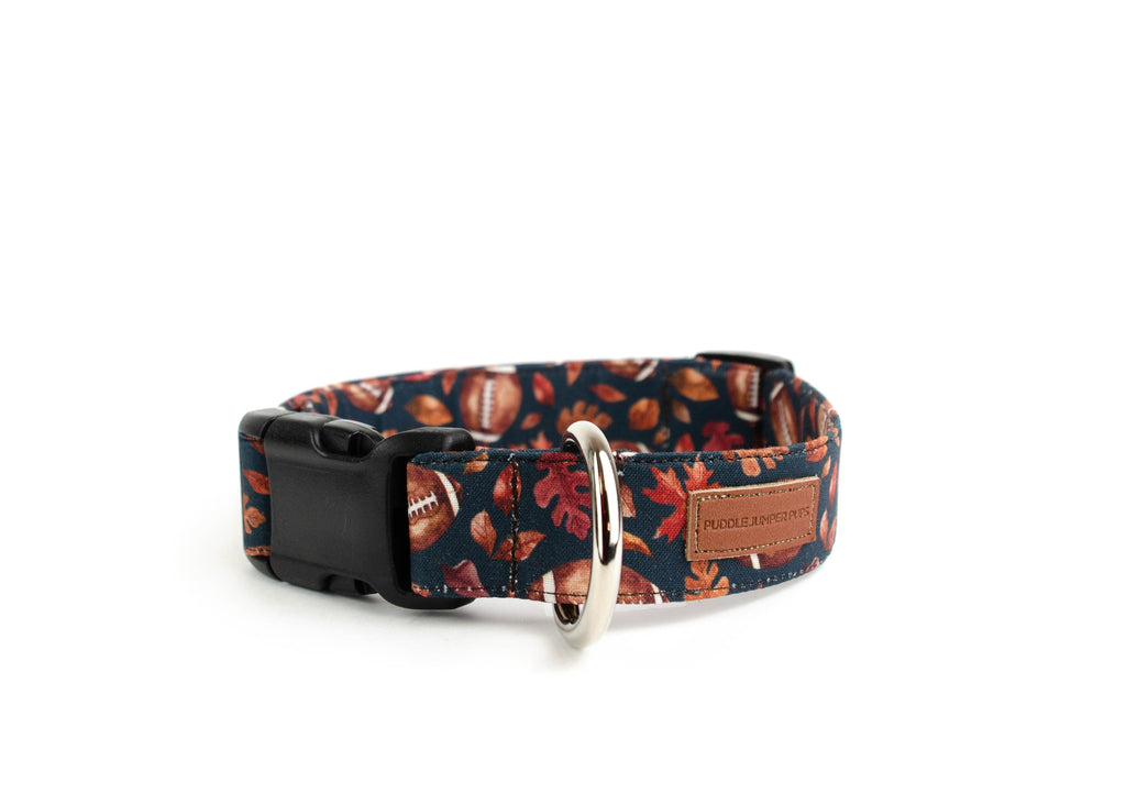 The Coach Collar