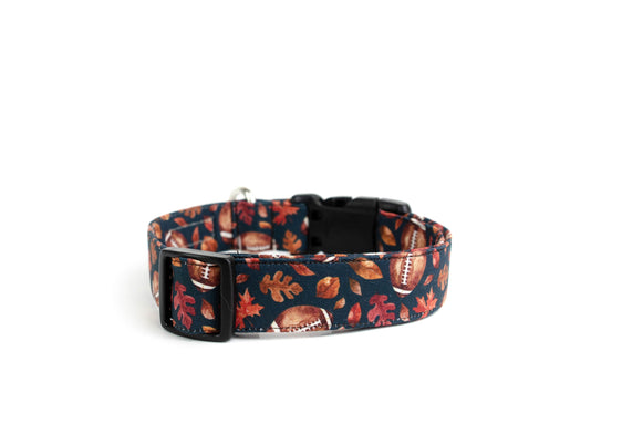 The Coach Collar