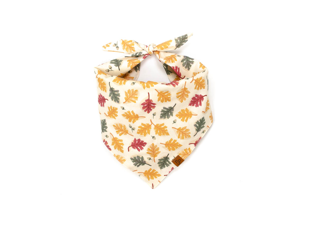 The Blaze Bandana
