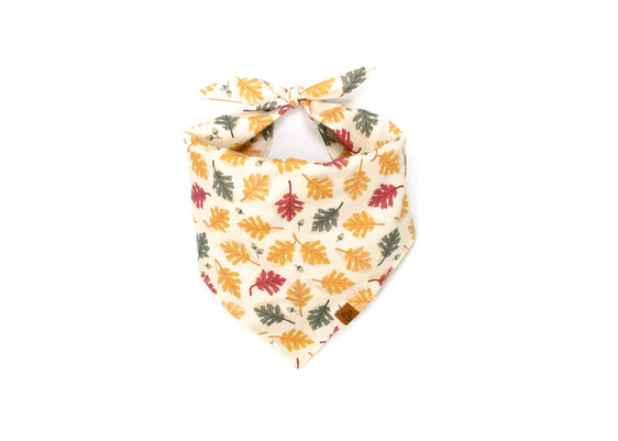 The Blaze Bandana