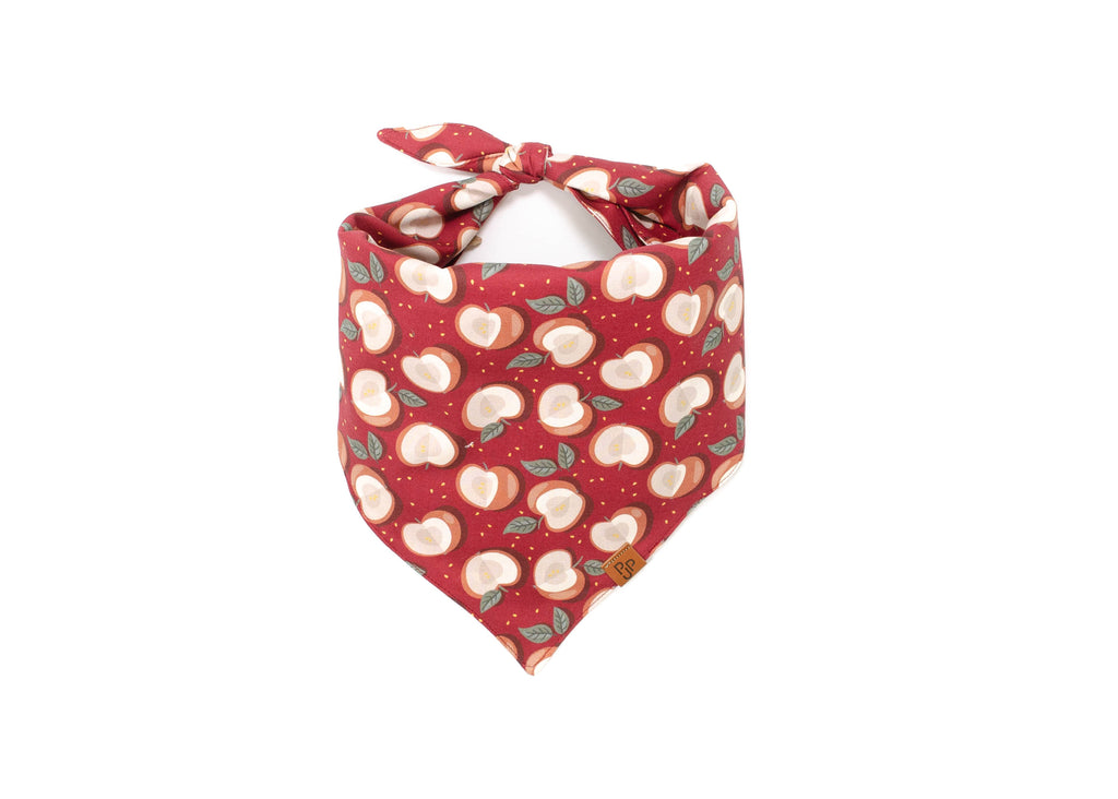 The Cortland Bandana