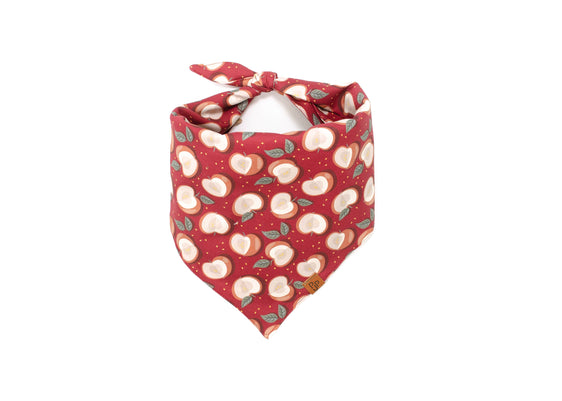 The Cortland Bandana