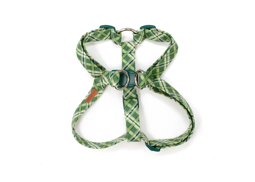 The Belmont Harness