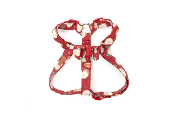 The Cortland Harness
