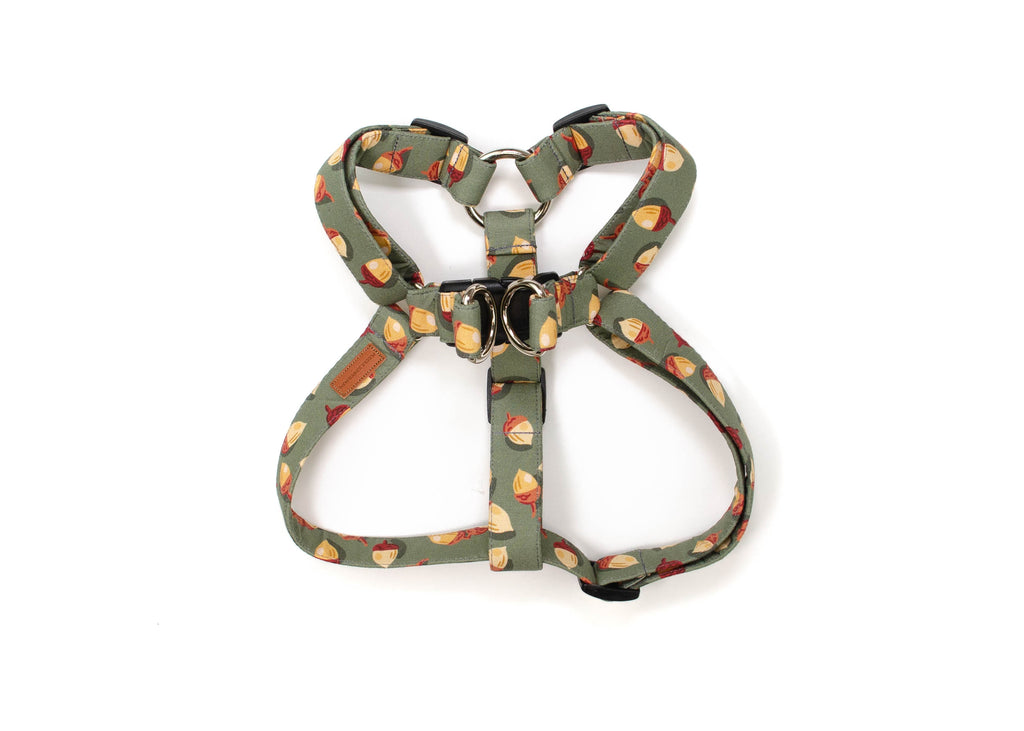 The Ember Harness