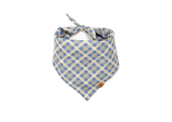 The Tucker Bandana