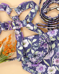 The Aelin Harness