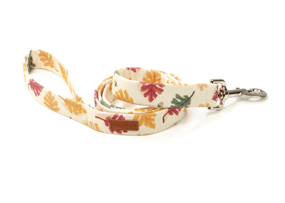 The Blaze Leash