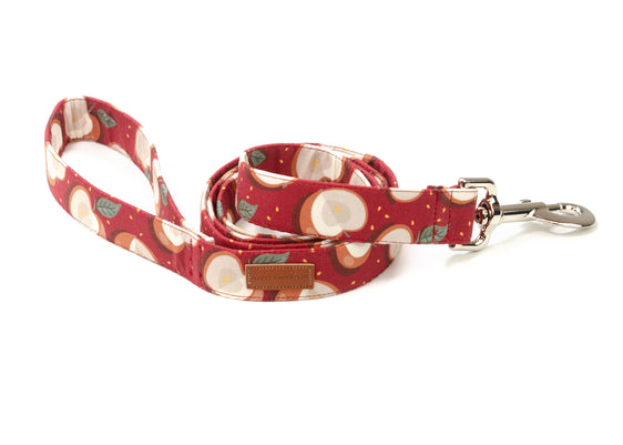 The Cortland Leash