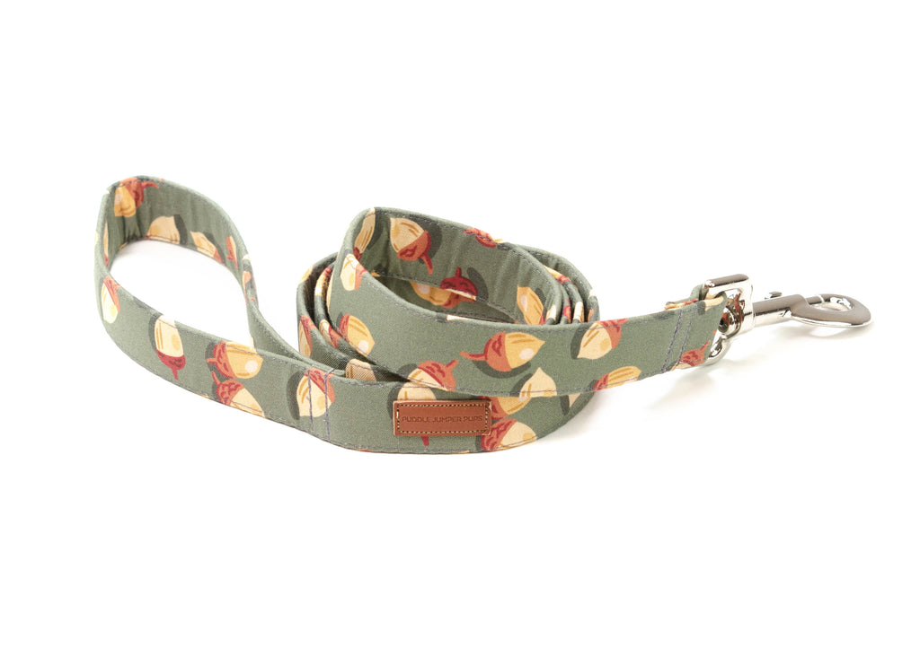 The Ember Leash