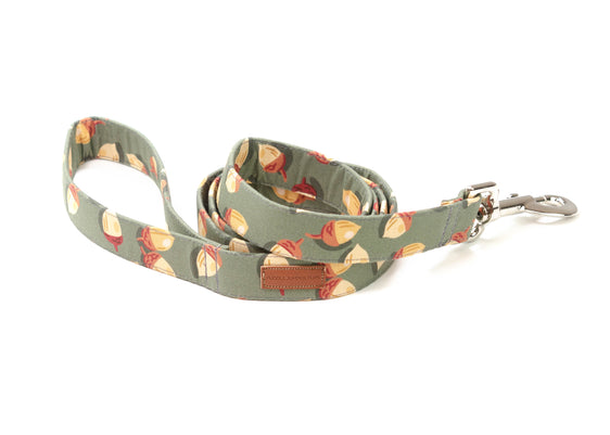The Ember Leash