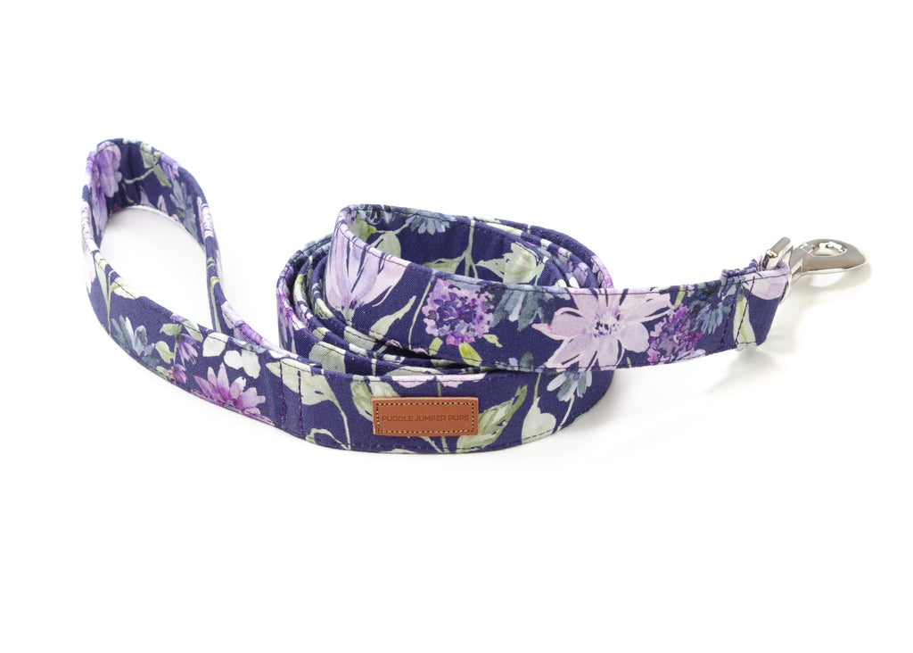 The Aelin Leash