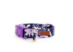 The Aelin Collar