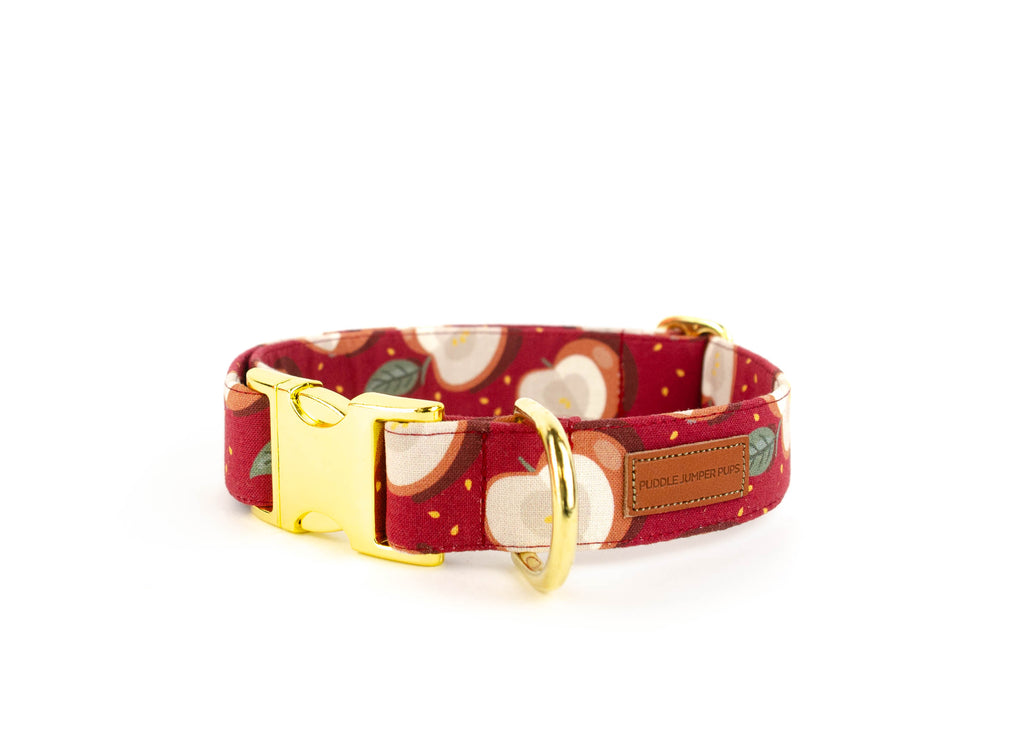 The Cortland Collar