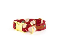 The Cortland Collar