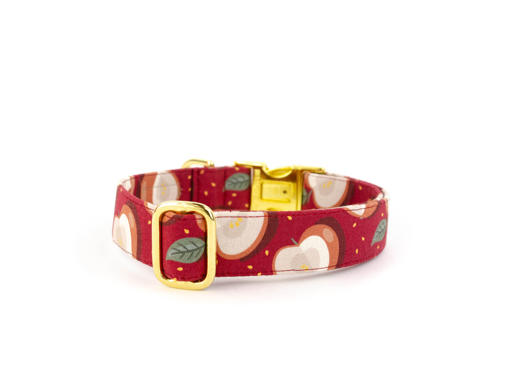 The Cortland Collar