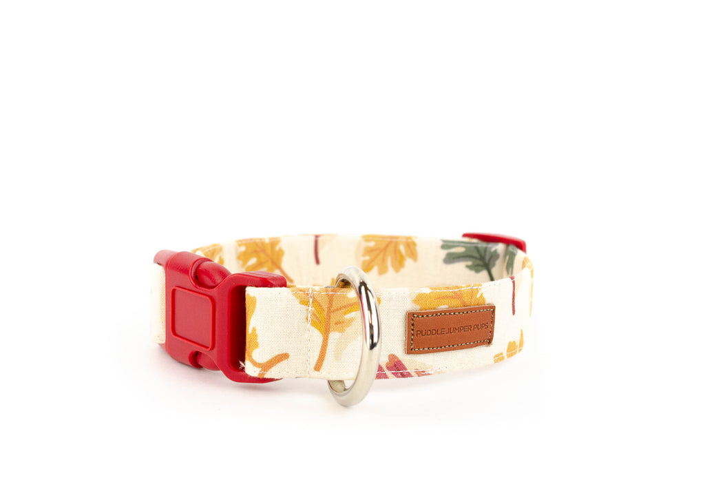 The Blaze Collar