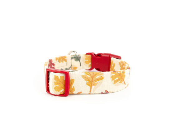The Blaze Collar
