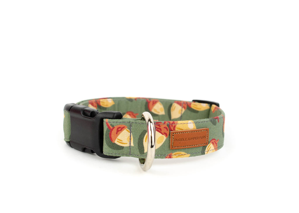 The Ember Collar