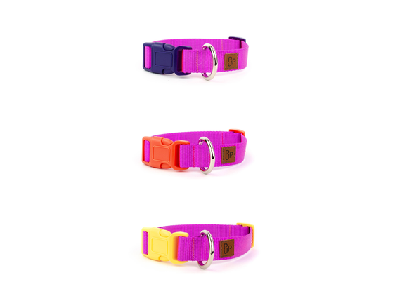 PJP Fetch Collar - Fuschia