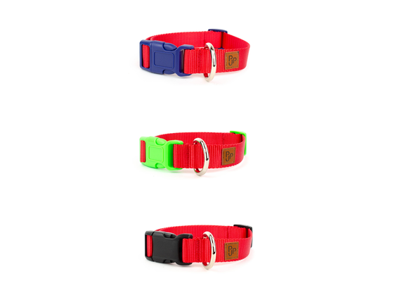 PJP Fetch Collar - Candy Apple