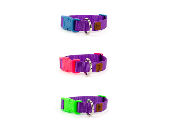 PJP Fetch Collar - Blackberry