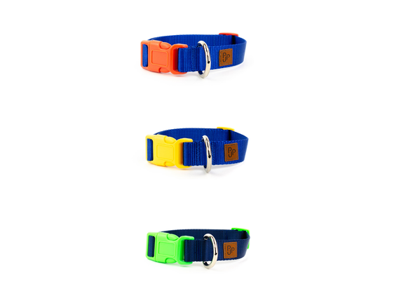 PJP Fetch Collar - Royal
