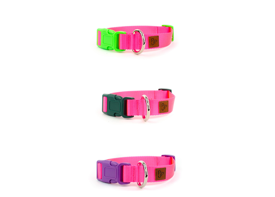 PJP Fetch Collar - Electric