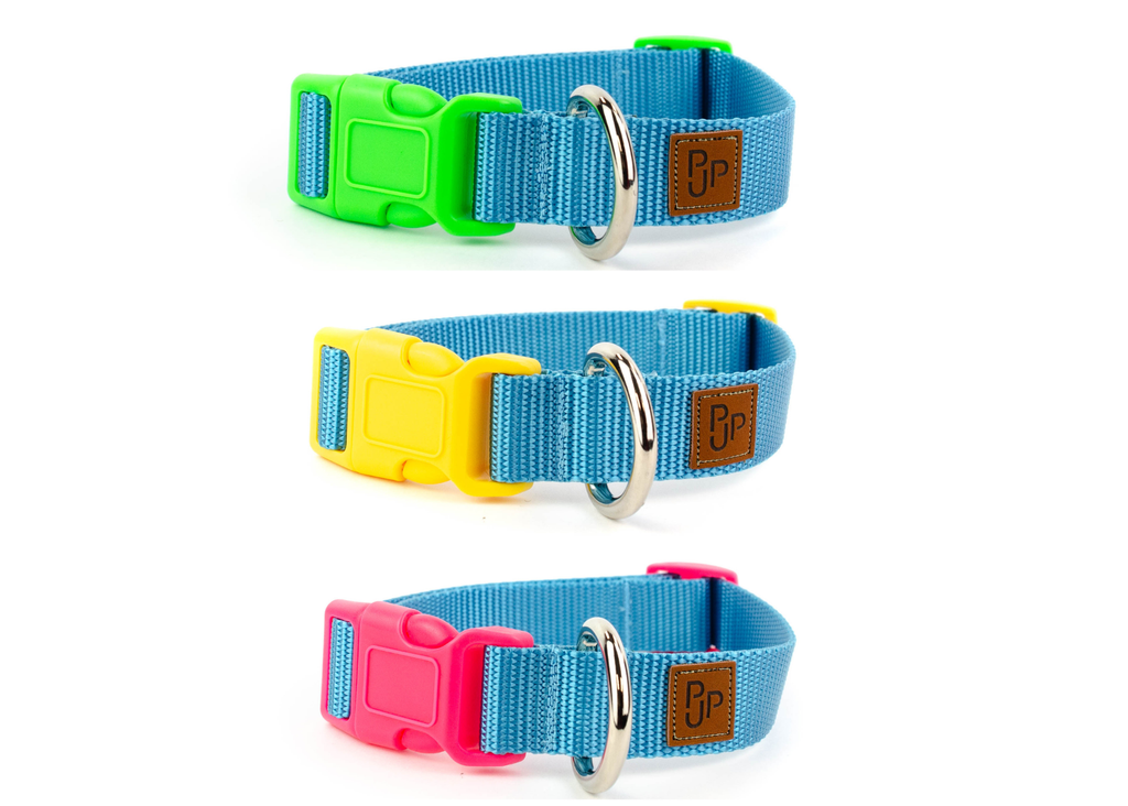 PJP Fetch Collar - Blue Sky