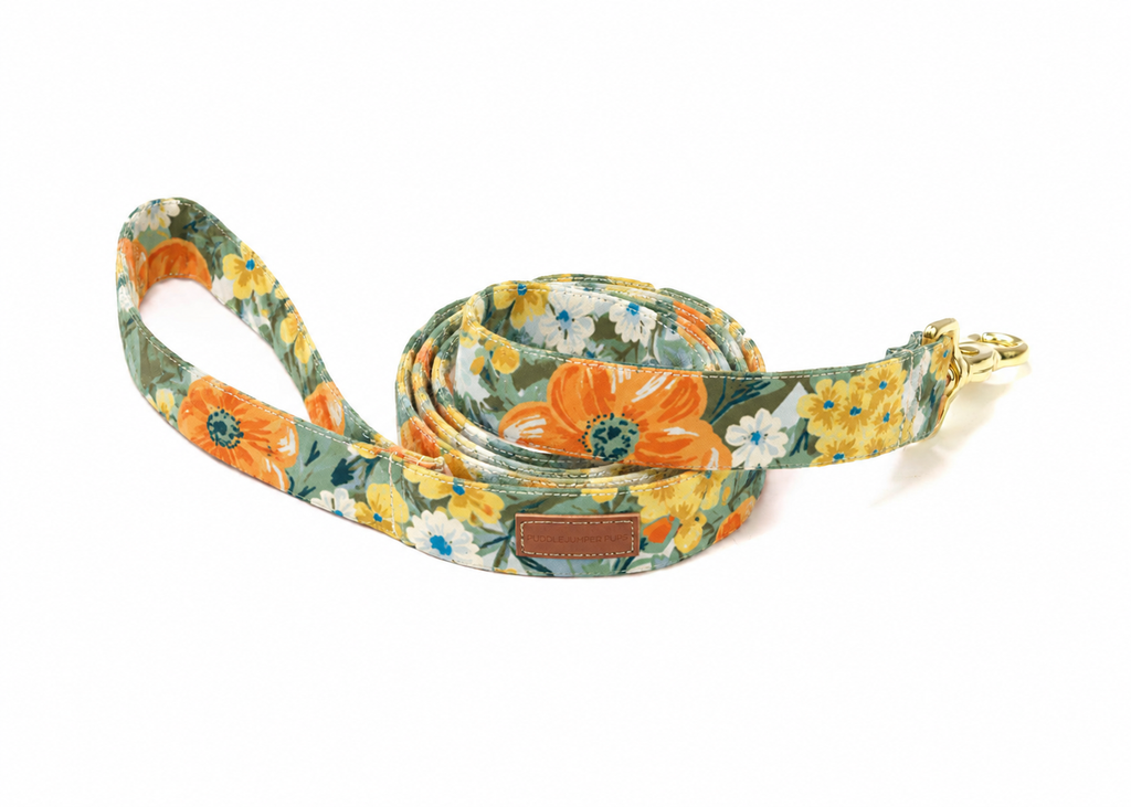 The Golden Poppy Flannel Leash