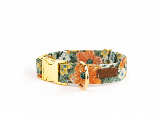 The Golden Poppy Flannel Collar