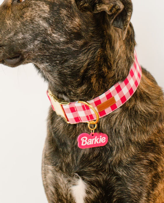 Barkie Collar + Tag Combo