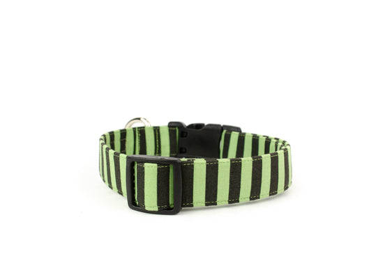 The Ridoc Collar