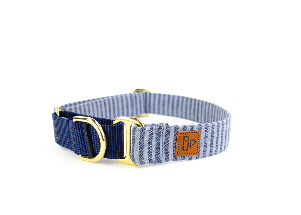 The Marina Martingale