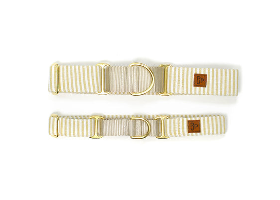 The Ferris Martingale