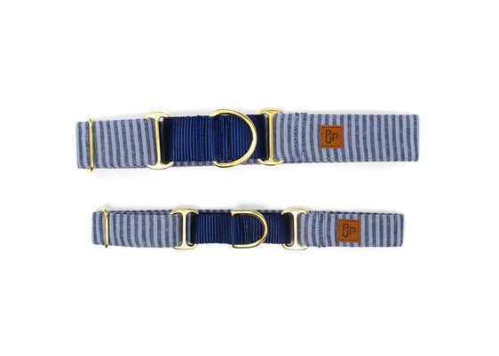 The Marina Martingale