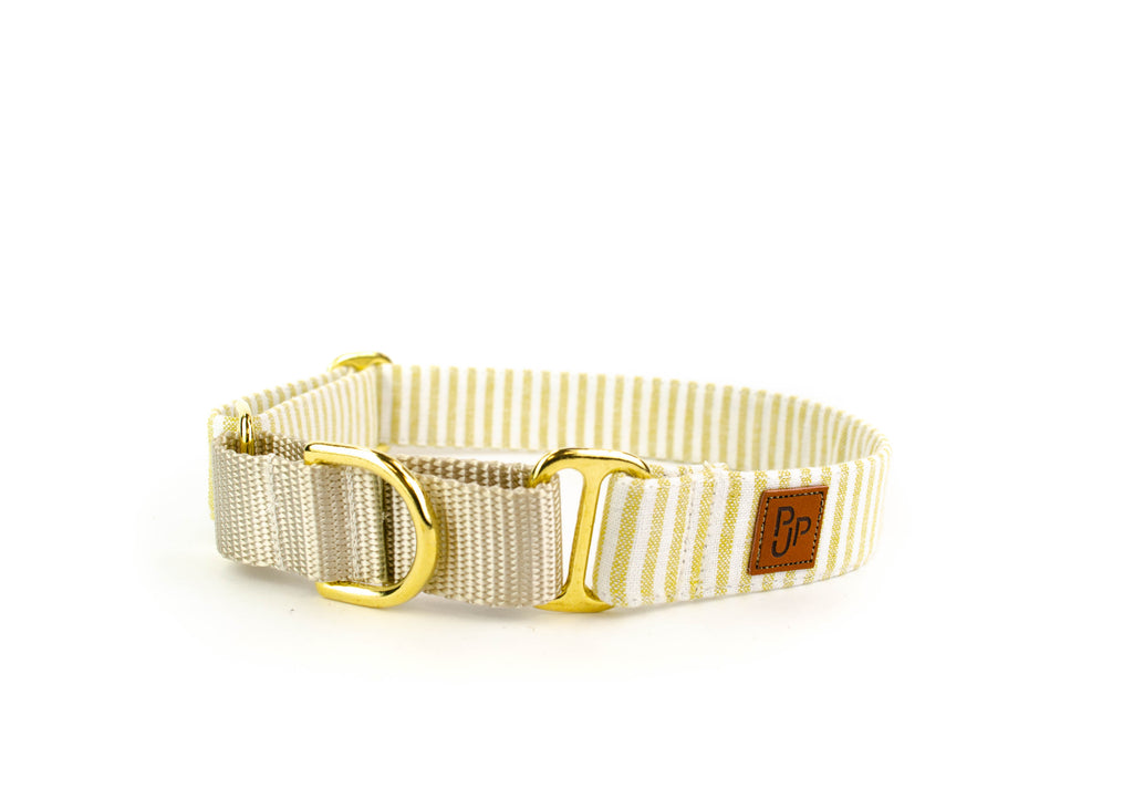 The Ferris Martingale