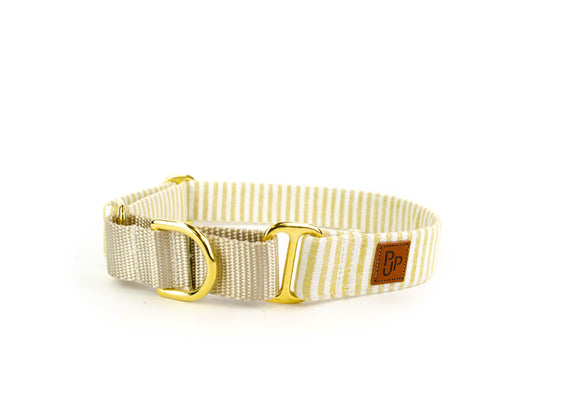 The Ferris Martingale